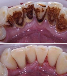 134122753_220808612945457_6950232657456016524_n